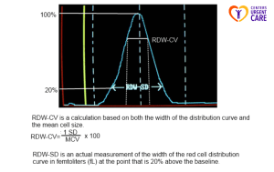 What is RDW Blood Test & Why It’s Important - Centers Urgent Care