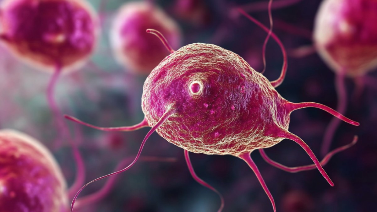 trichomoniasis treatment options