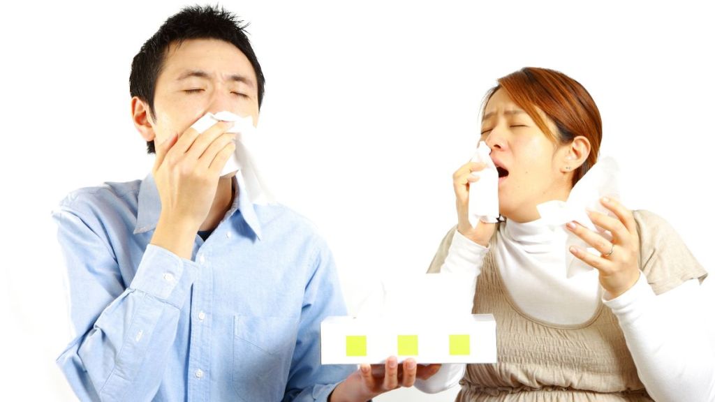 how-to-cure-allergic-rhinitis-permanently