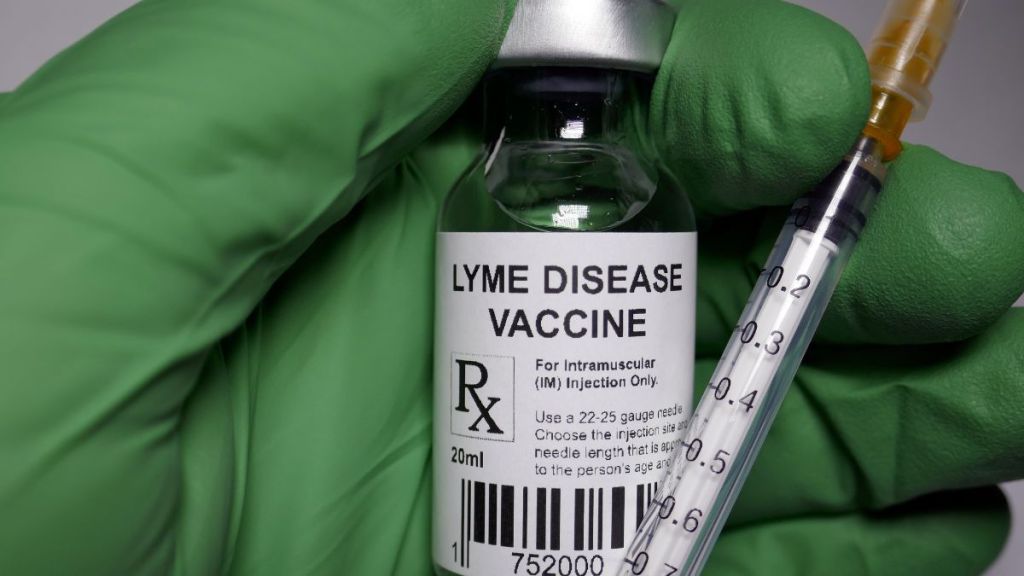 lyme-disease-treatment